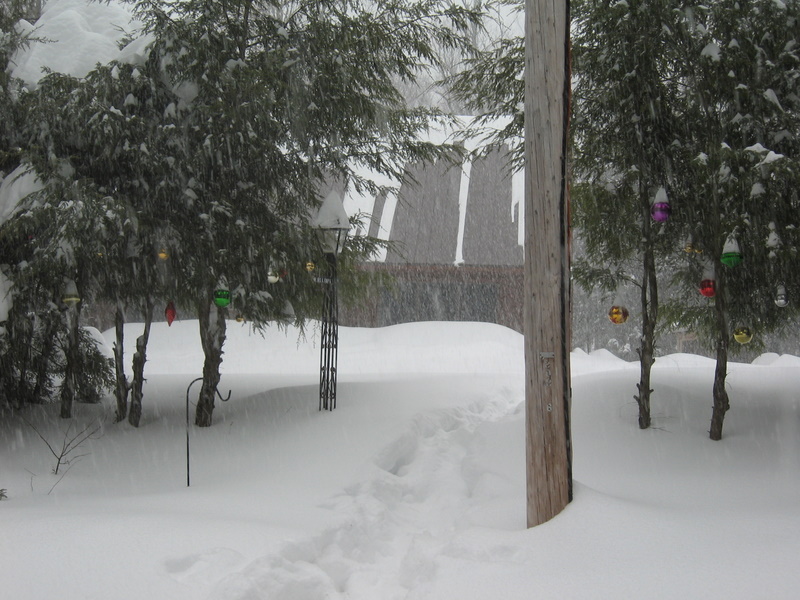 snow storm 2-14-07 049